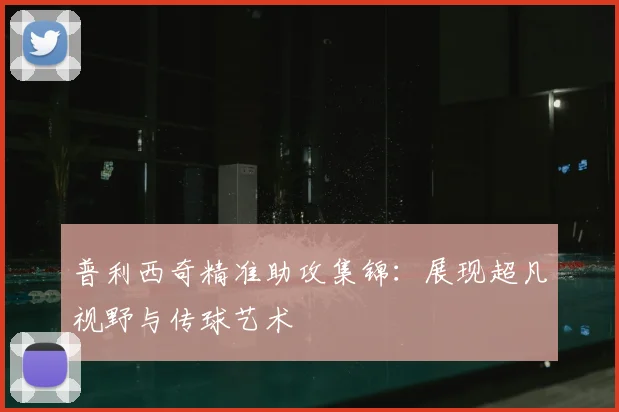 普利西奇精准助攻集锦：展现超凡视野与传球艺术
