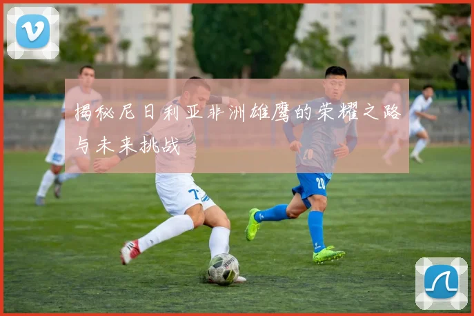 揭秘尼日利亚非洲雄鹰的荣耀之路与未来挑战