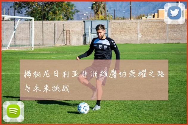 揭秘尼日利亚非洲雄鹰的荣耀之路与未来挑战